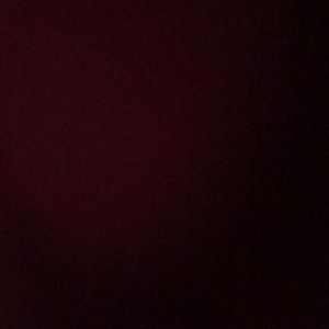 Meet your Posher, Lissa